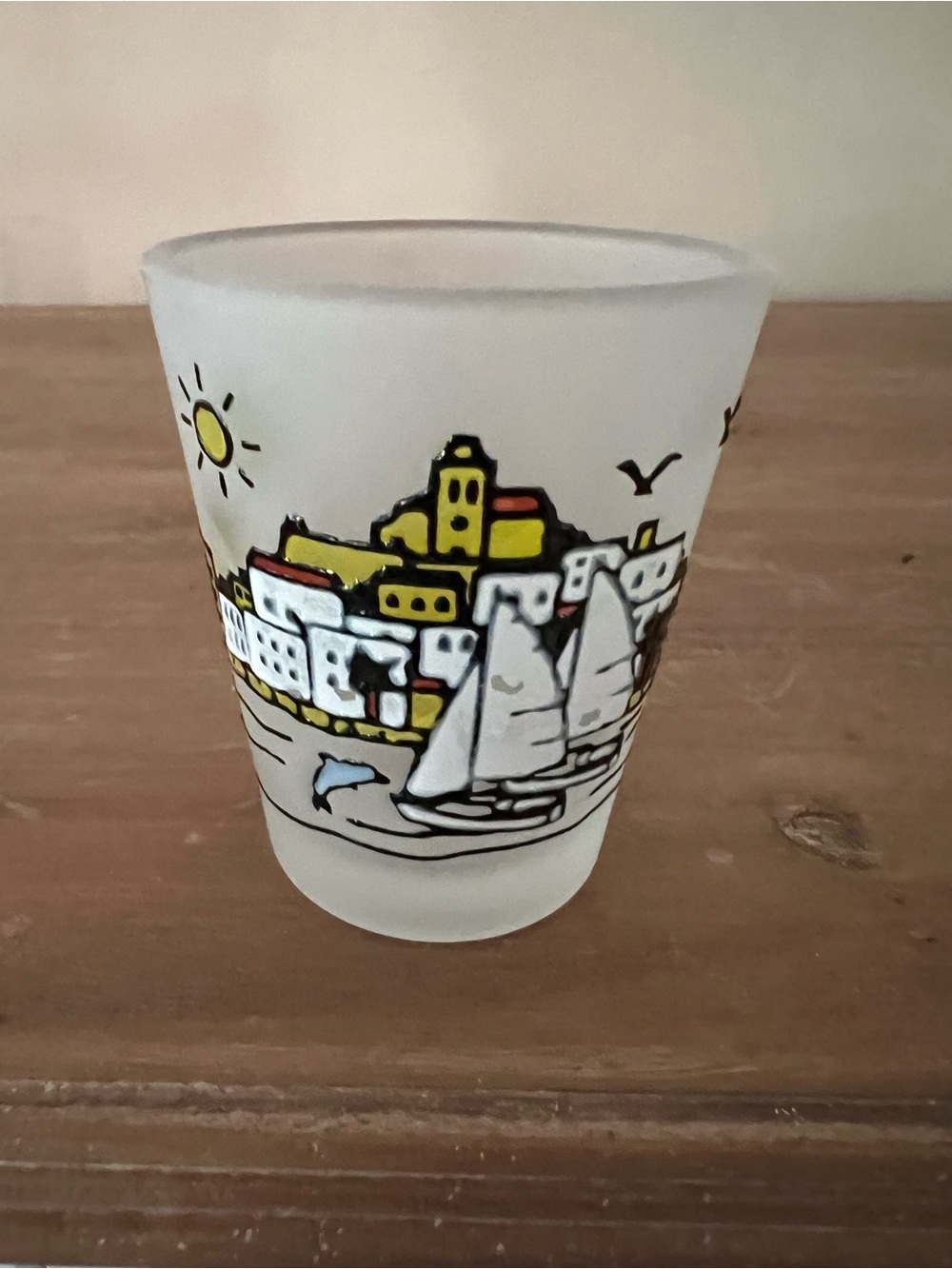 Frosted Porto Portugal Shot Glass